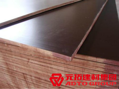  河北木模板如何選購？建筑木模板選購注意哪些方面？