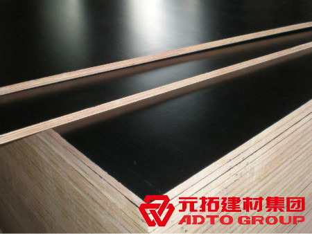 河北建筑木模板生產(chǎn)廠家怎么選購(gòu)？